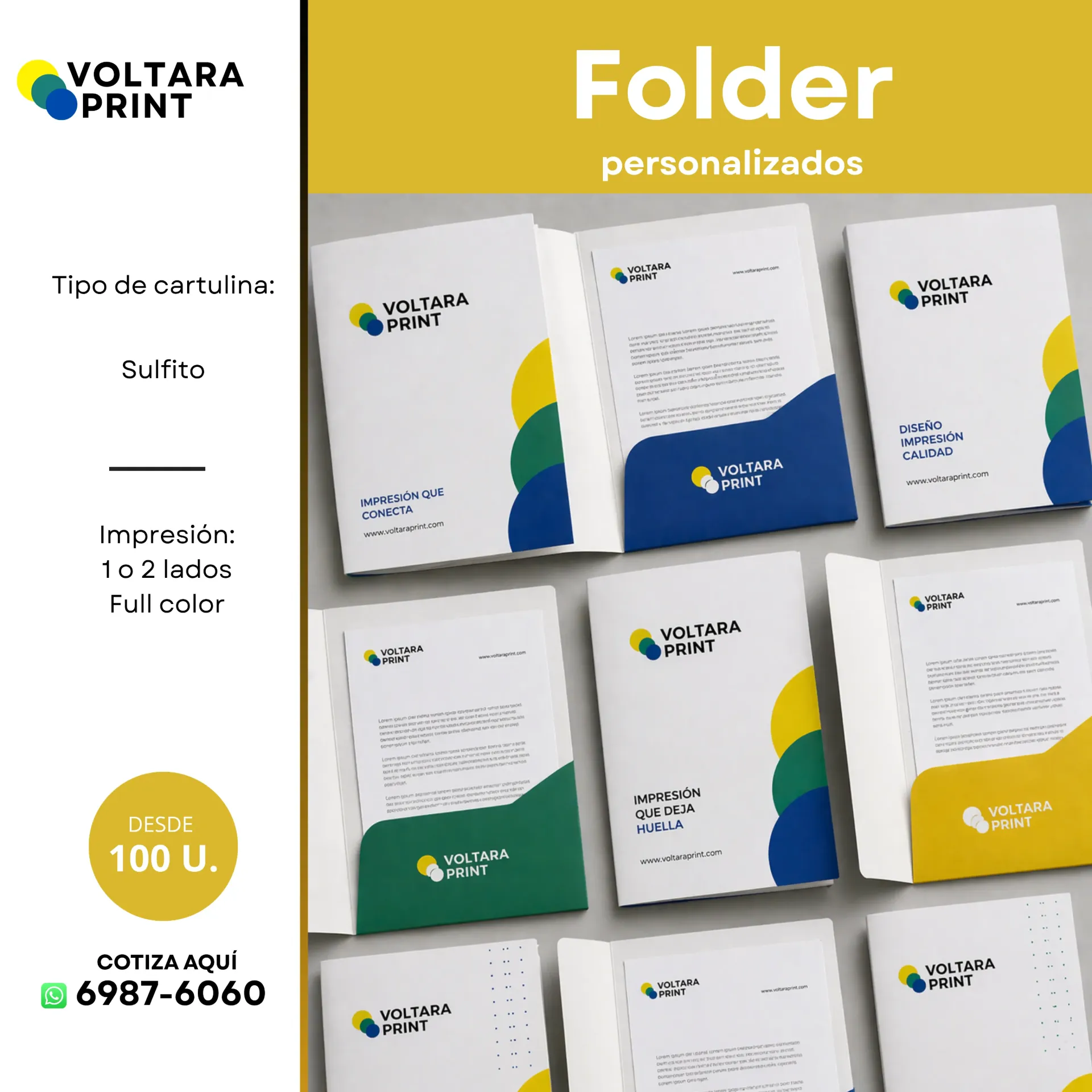 Folder personalizados (100)