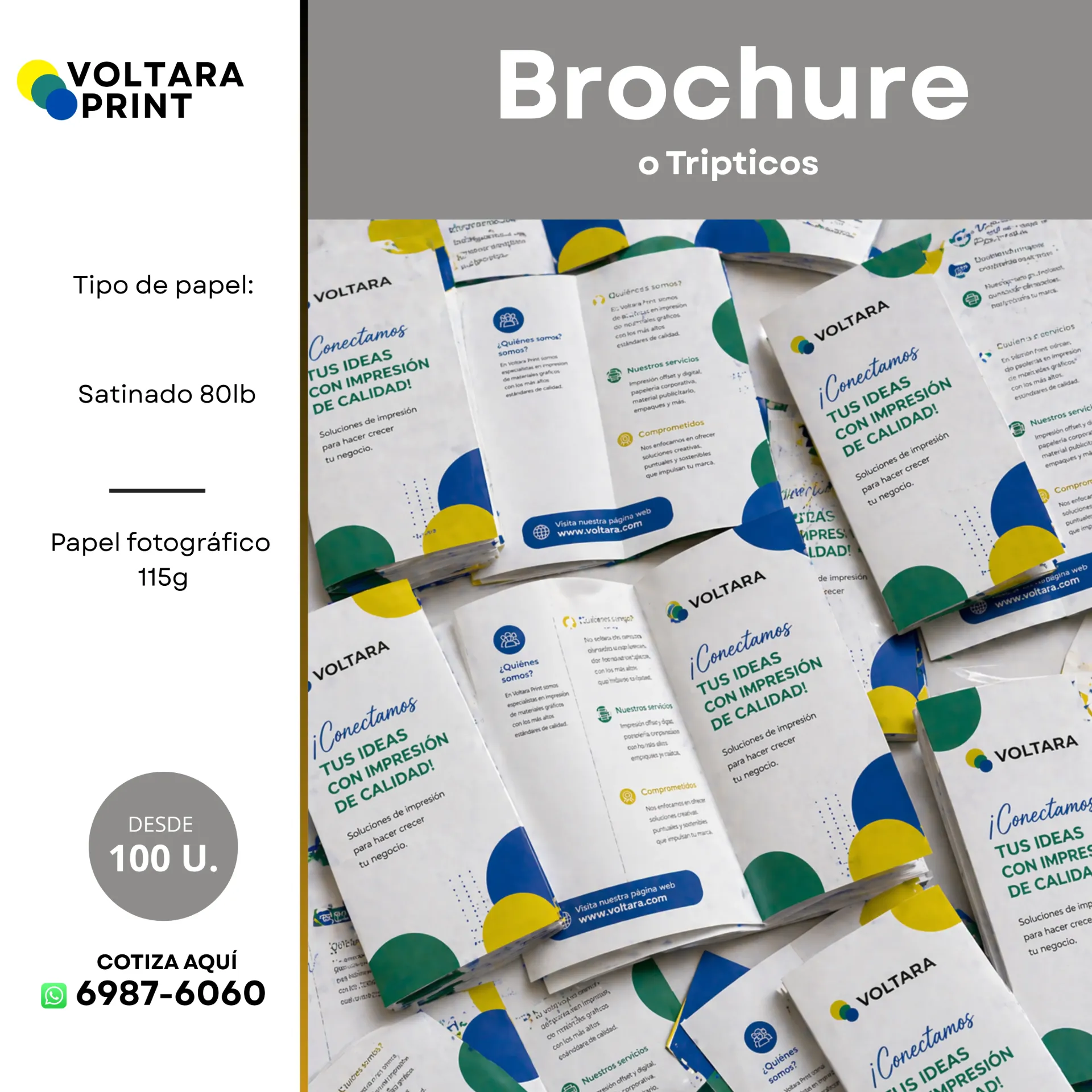 Brochure, trípticos o bípticos (100, Tengo mi arte)